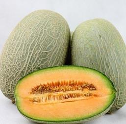 南宁网红吃瓜公众号推荐,跟随公众号推荐，解锁地道风味